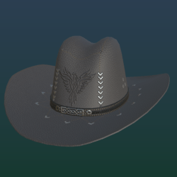COWBOY_ HAT_ I (ALL_ FOR_ COWBOY_)
