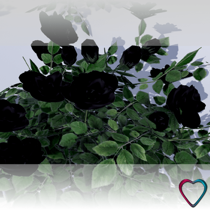 Rose Flowers - Black