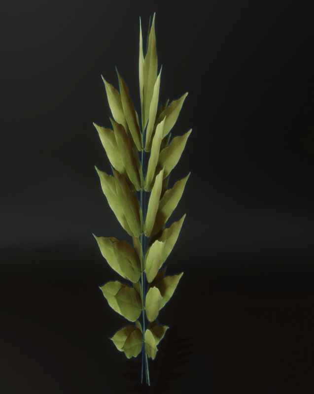 Single Tall Broad Leafed Plant