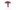 Pink Mushroom