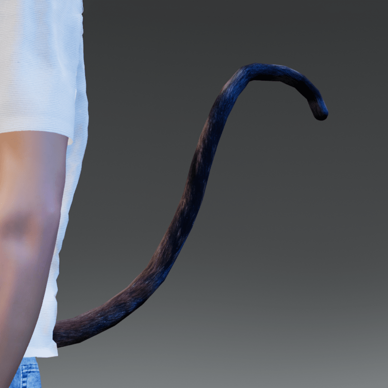 TKA Cat Tail Man