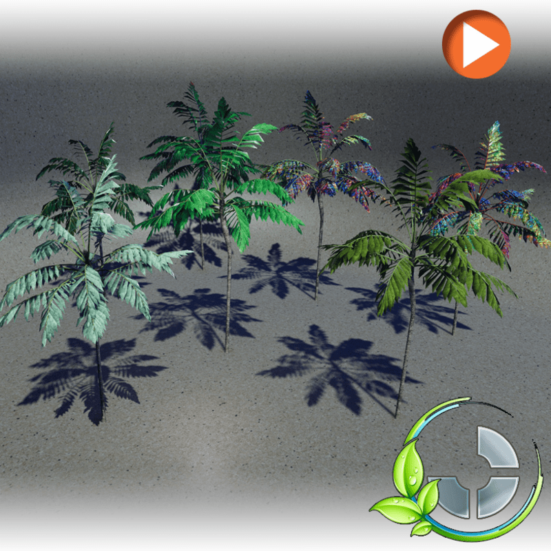 Combo Animated Skinny