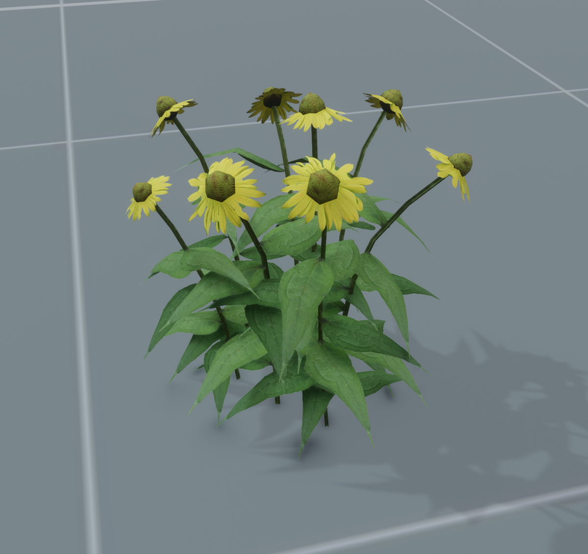 Yellow Prairie Coneflower