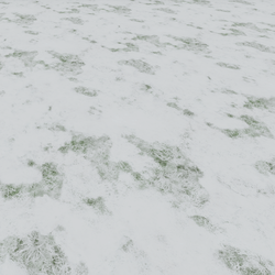 Frozen Snow on Grass Floor